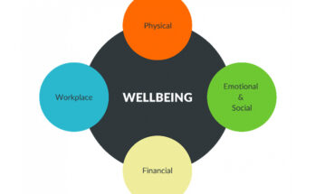 What are the pillars of wellness?