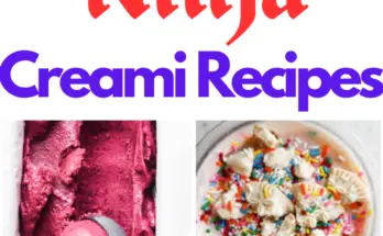 Ninja Creami Recipes