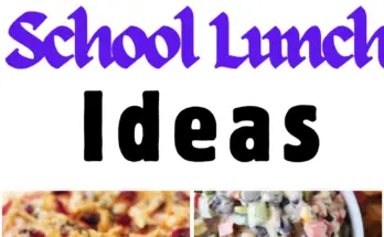 10+ Healthy School Lunch Ideas